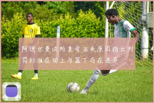 阿德尔曼谈约基奇沮丧原因指出判罚标准在场上与篮下存在差异